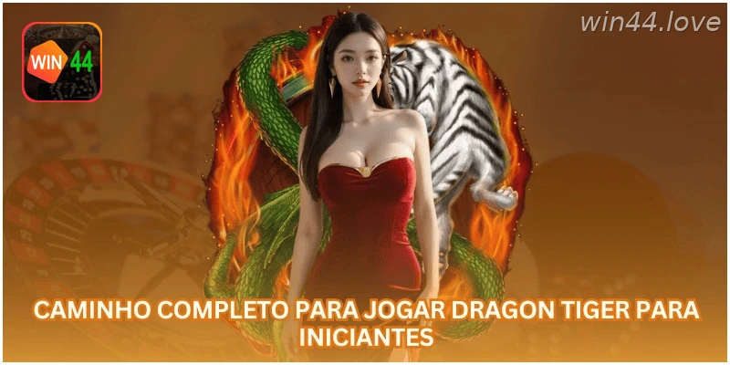 Guia completo de Dragon Tiger para iniciantes.